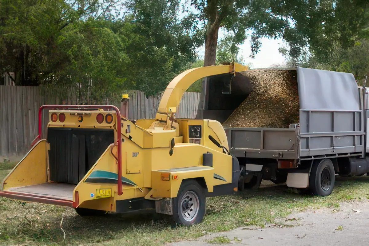 Wood chipper and truck loaded with trimmed tree limbs